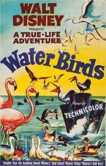Water Birds (Short 1952)
