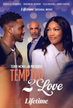 Terry McMillan Presents: Tempted 2 Love